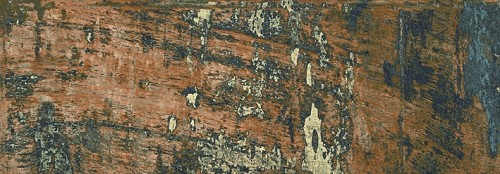 金百莉木紋磚